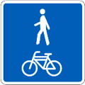 Vía peatonal y ciclista compartida